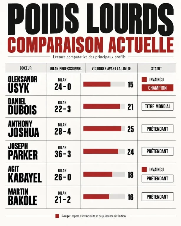 Infographie comparative des boxeurs poids lourds actuels et de leurs bilans